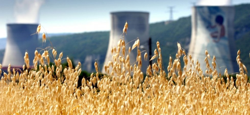 Séisme dans le Sud-Est : les réacteurs de la centrale de Cruas arrêtés pour un audit