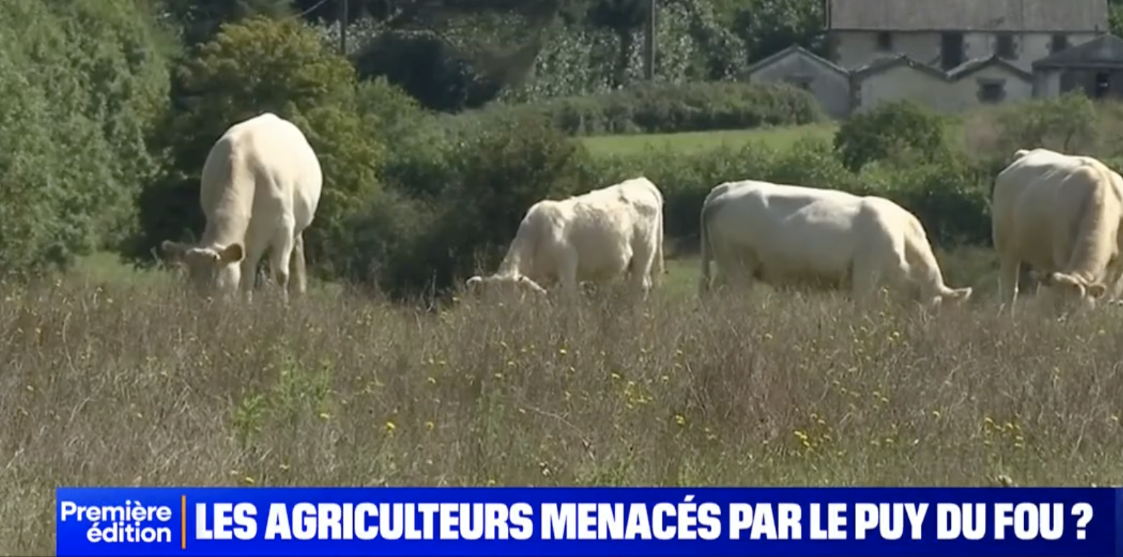 Le Puy de Fou rachète 400 hectares de terres agricoles, la Confédération paysanne s'insurge