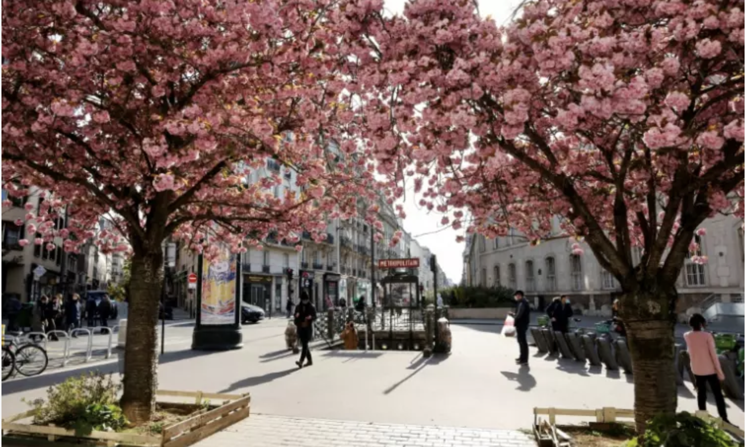 La mairie de Paris va végétaliser 120 nouvelles rues